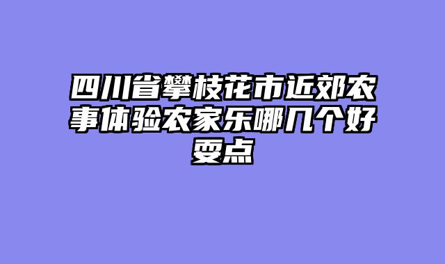 四川省攀枝花市近郊农事体验农家乐哪几个好耍点