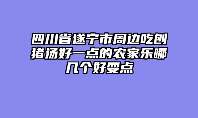 四川省遂宁市周边吃刨猪汤好一点的农家乐哪几个好耍点