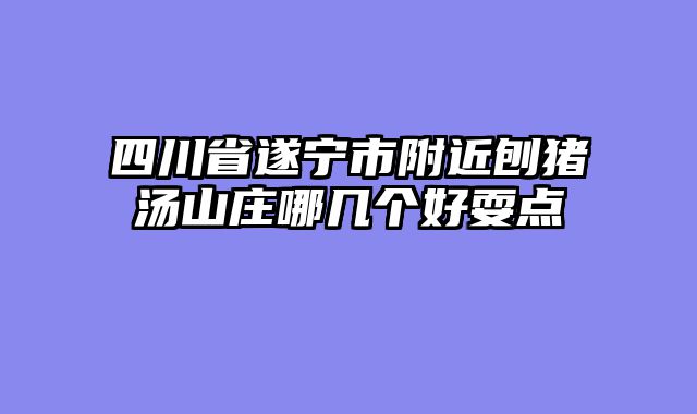 四川省遂宁市附近刨猪汤山庄哪几个好耍点
