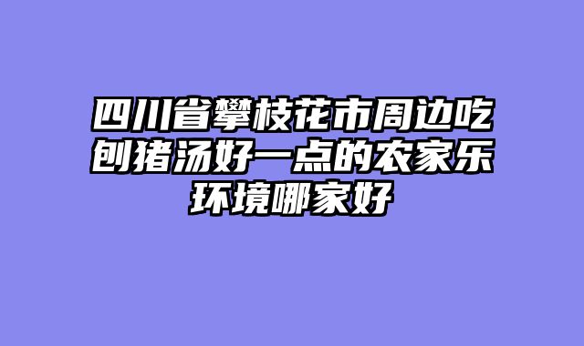四川省攀枝花市周边吃刨猪汤好一点的农家乐环境哪家好