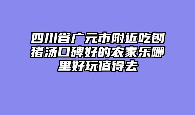 四川省广元市附近吃刨猪汤口碑好的农家乐哪里好玩值得去