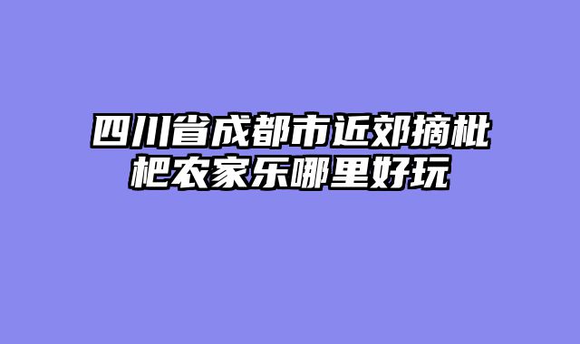四川省成都市近郊摘枇杷农家乐哪里好玩