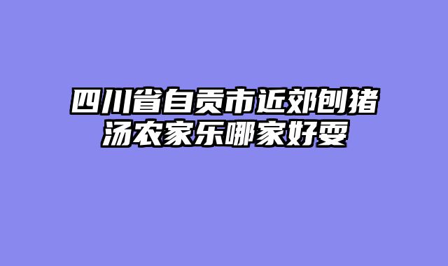 四川省自贡市近郊刨猪汤农家乐哪家好耍