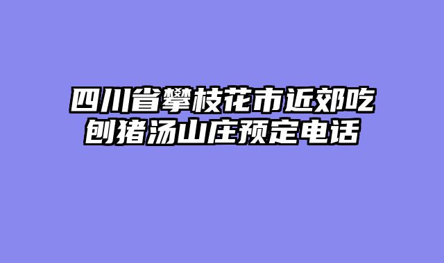 四川省攀枝花市近郊吃刨猪汤山庄预定电话