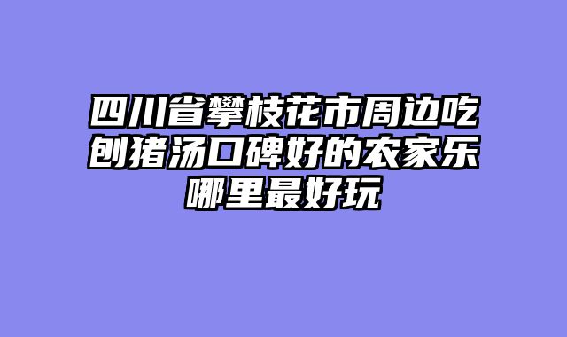 四川省攀枝花市周边吃刨猪汤口碑好的农家乐哪里最好玩