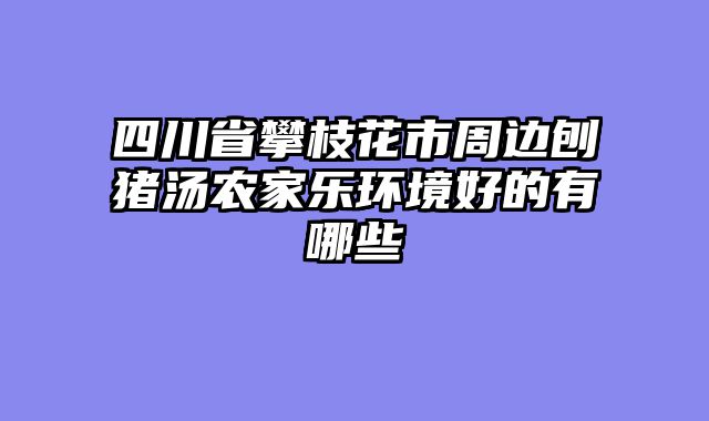 四川省攀枝花市周边刨猪汤农家乐环境好的有哪些