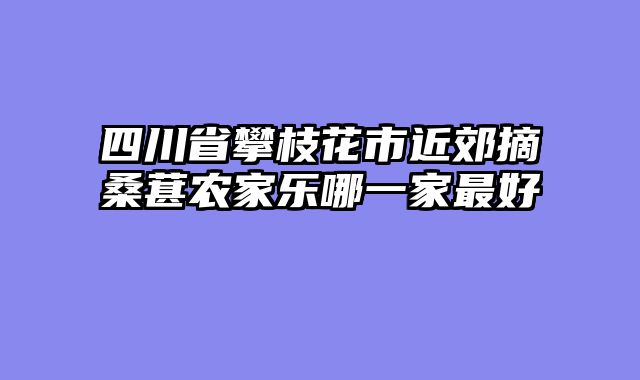 四川省攀枝花市近郊摘桑葚农家乐哪一家最好