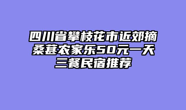 四川省攀枝花市近郊摘桑葚农家乐50元一天三餐民宿推荐