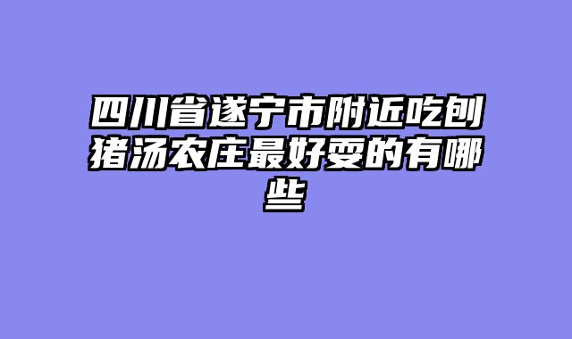 四川省遂宁市附近吃刨猪汤农庄最好耍的有哪些