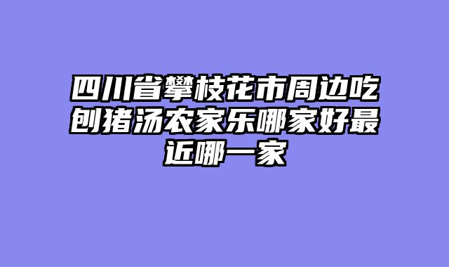 四川省攀枝花市周边吃刨猪汤农家乐哪家好最近哪一家