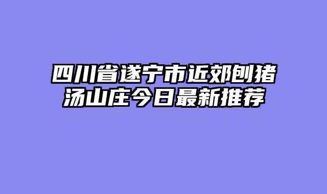 四川省遂宁市近郊刨猪汤山庄今日最新推荐