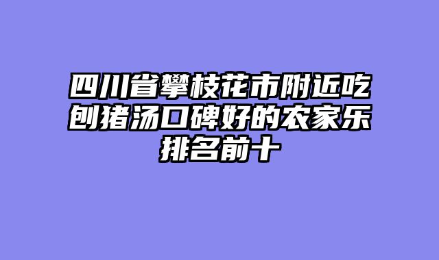 四川省攀枝花市附近吃刨猪汤口碑好的农家乐排名前十