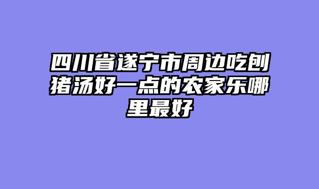 四川省遂宁市周边吃刨猪汤好一点的农家乐哪里最好
