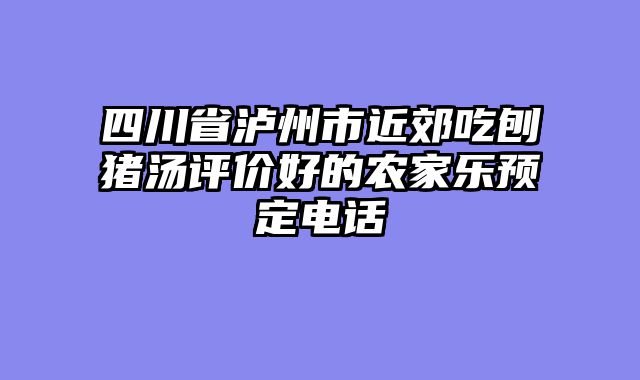 四川省泸州市近郊吃刨猪汤评价好的农家乐预定电话