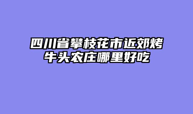 四川省攀枝花市近郊烤牛头农庄哪里好吃