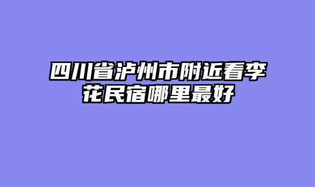 四川省泸州市附近看李花民宿哪里最好