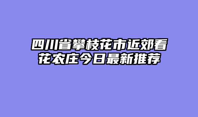 四川省攀枝花市近郊看花农庄今日最新推荐