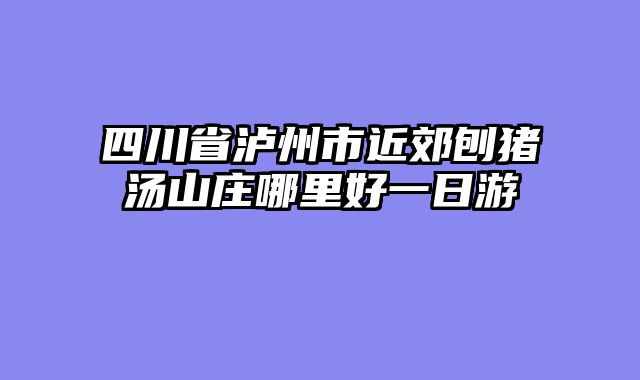 四川省泸州市近郊刨猪汤山庄哪里好一日游