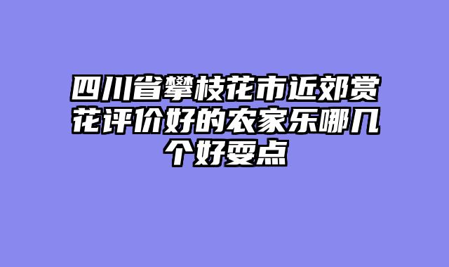 四川省攀枝花市近郊赏花评价好的农家乐哪几个好耍点