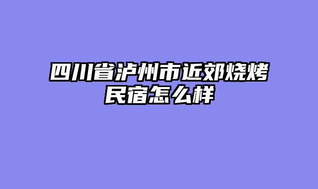 四川省泸州市近郊烧烤民宿怎么样