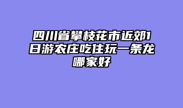 四川省攀枝花市近郊1日游农庄吃住玩一条龙哪家好
