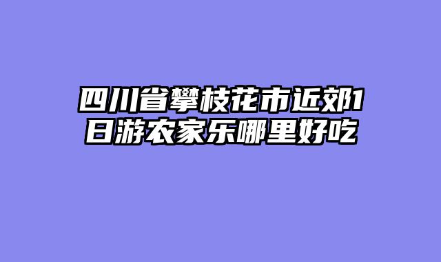 四川省攀枝花市近郊1日游农家乐哪里好吃