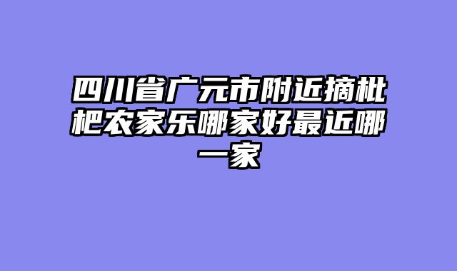 四川省广元市附近摘枇杷农家乐哪家好最近哪一家